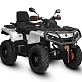 Квадроцикл AODES Pathcross ATV650L EPS XE 2025г.