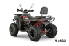 Квадроцикл GBM CROSS HILL 320 BIG PREMIUM