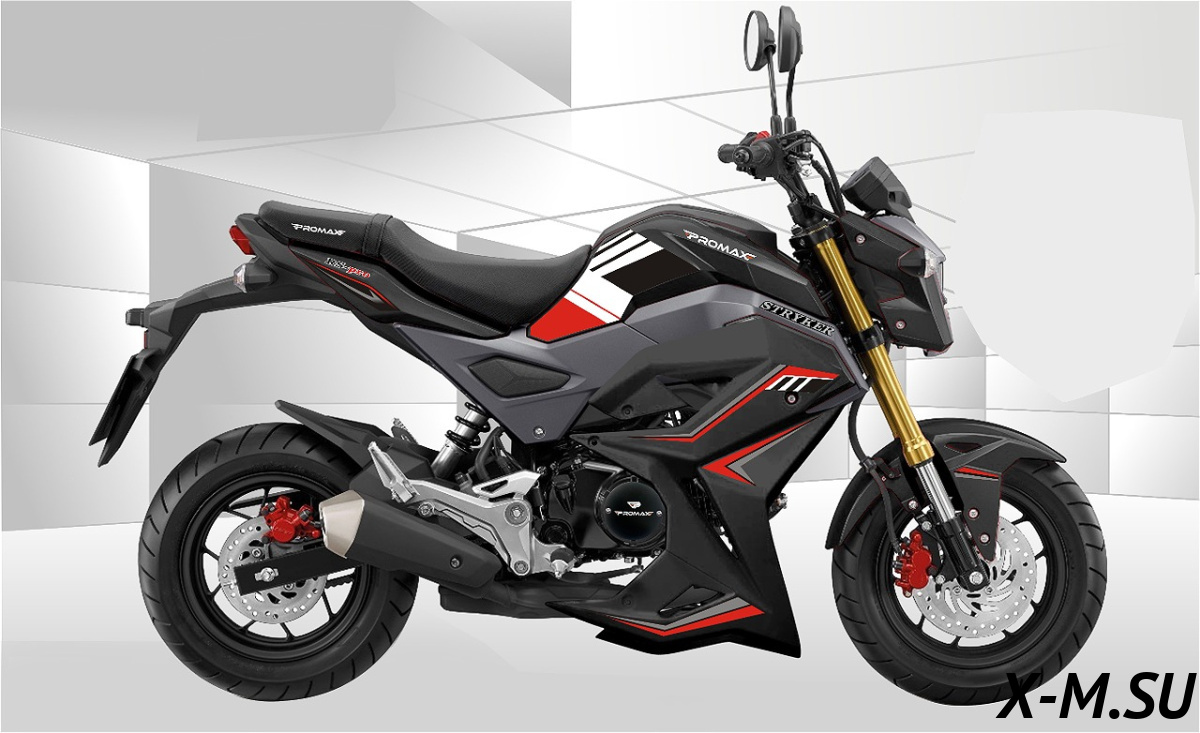 Мотоцикл promax stryker 200