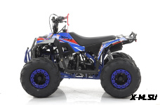 Квадроцикл бензиновый MOTAX GRIZLIK A110