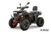 Квадроцикл GBM CROSS HILL 320 BIG PREMIUM
