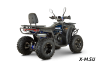 Квадроцикл GBM CROSS HILL 320 BIG PREMIUM
