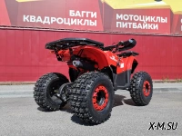 Квадроцикл PROMAX WILD 175 BASIC