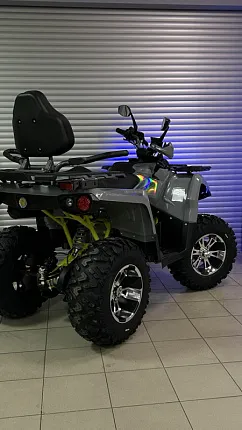 Квадроцикл PROMAX RENEGADE 280 LONG WINCH PRO (2025)