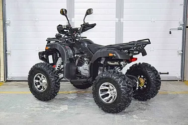 Квадроцикл Grizzly 200